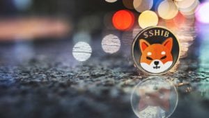 A concept token for Shiba Inu or SHIB cryptography with twinkling lights in the background.