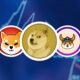 Dog-Themed Memecoins Lose Strength as Rivals Proliferate