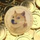 Meme Coins Are “A Pure Ponzi” And “Destroying Crypto,” Says Trader Who Thinks Dogecoin Was Different