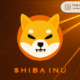 Tokens from the Shiba Inu ecosystem will work together in the upcoming L3 blockchain