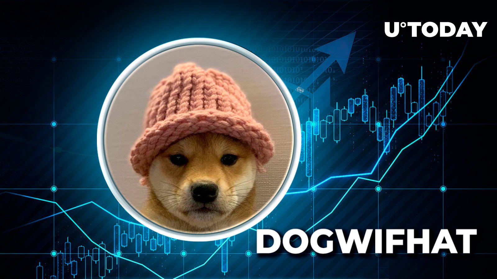 Top Solana Meme Coin Dogwifhat (WIF) Skyrockets 1,481% in Major Trading Anomaly