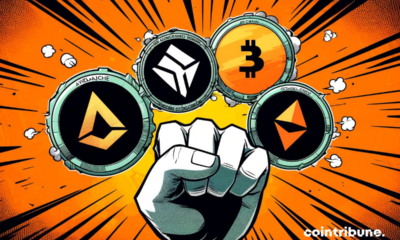 The 4 Best Altcoins to Buy Now