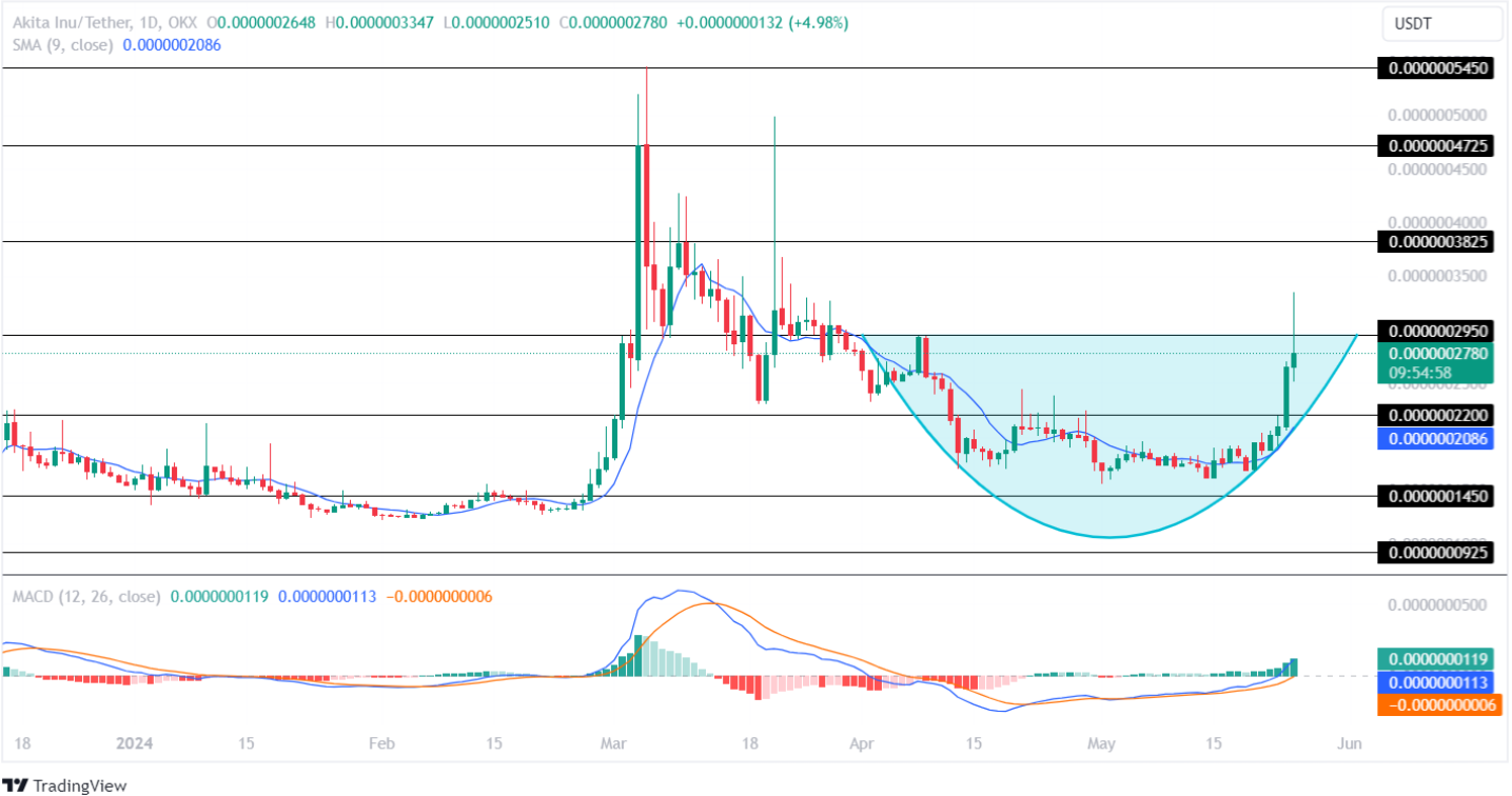 Akita Price Analysis