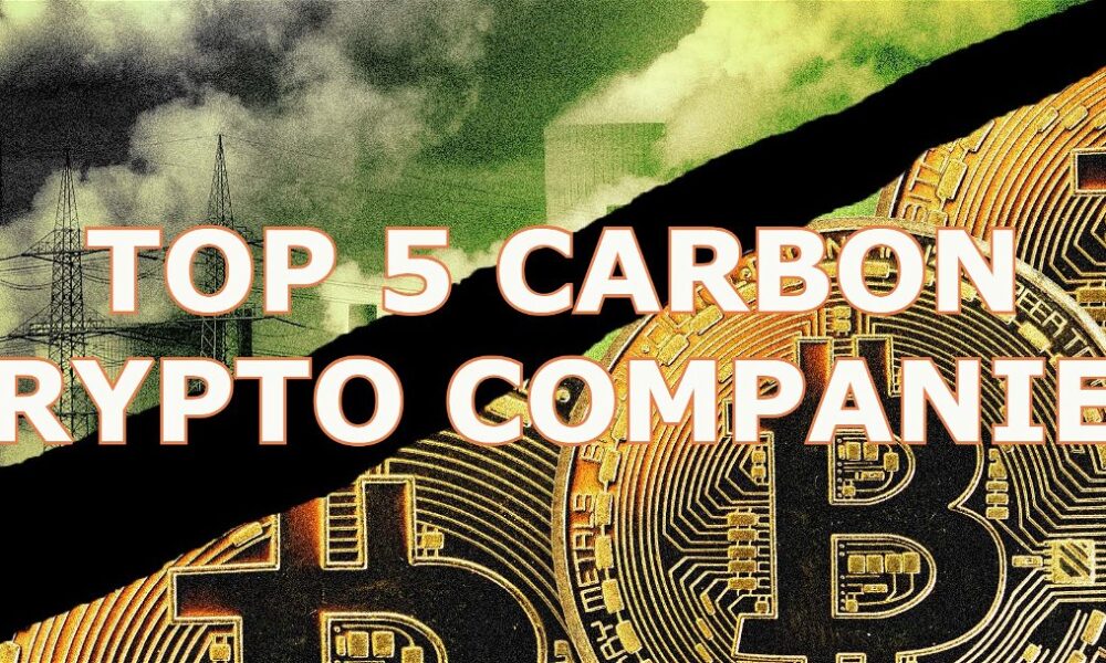 Top 5 Carbon Crypto Companies to Watch in 2024