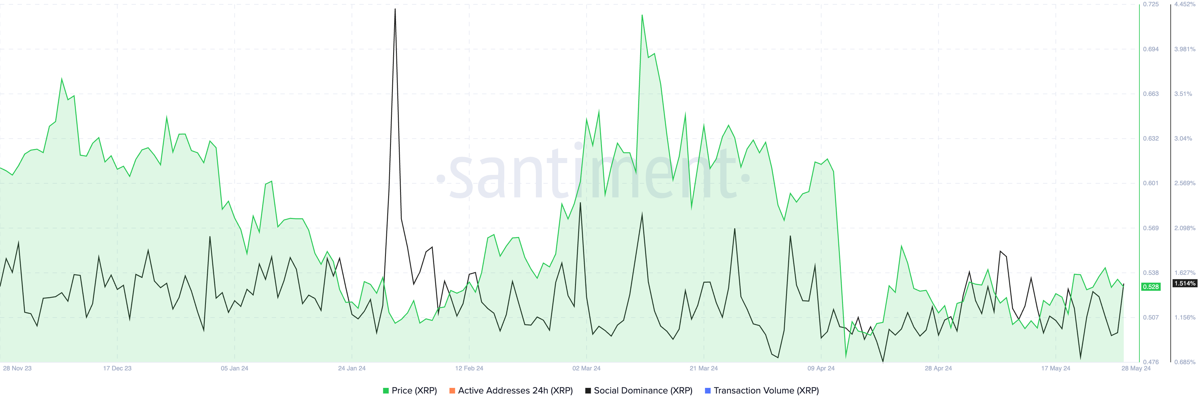 Social dominance of XRP