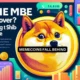 Are memecoins running out of steam?  Shiba Inu, Dogecoin prices say...