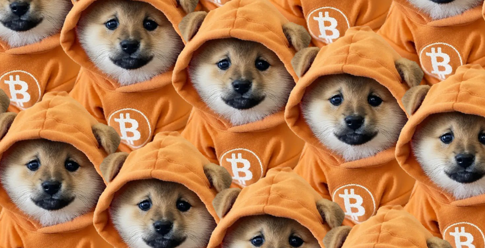 Bitcoin Meme Coins Rise as DOG's 85% Jump Allays Fears That 'Runes Are Dead'