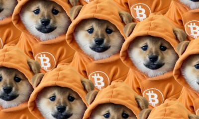 Bitcoin Meme Coins Rise as DOG's 85% Jump Allays Fears That 'Runes Are Dead'