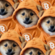 Bitcoin Meme Coins Rise as DOG's 85% Jump Allays Fears That 'Runes Are Dead'