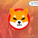 BlockDAG adds Shiba Inu as a payment option for its native token