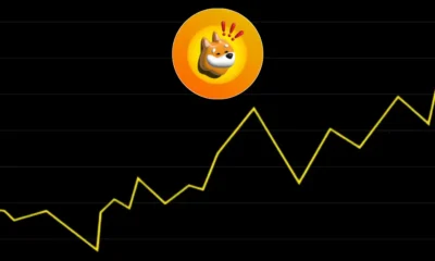 Bonk Price Prediction (2024-2050), Next Flying Altcoin