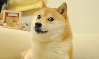 DOGE Options Worth $2 Million Bought by Trader