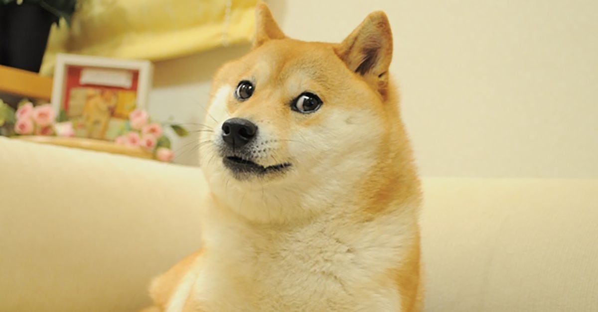 DOGE Options Worth $2 Million Bought by Trader