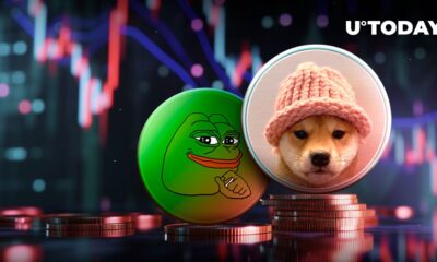 Dogwifhat (WIF), PEPE and Other Meme Coins Eye Epic Dumping Amid Market Chaos