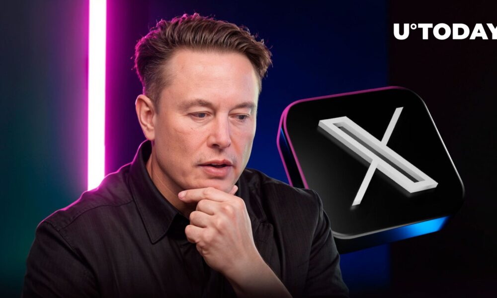 Elon Musk Update Sparks Excitement in XRP and Meme Communities