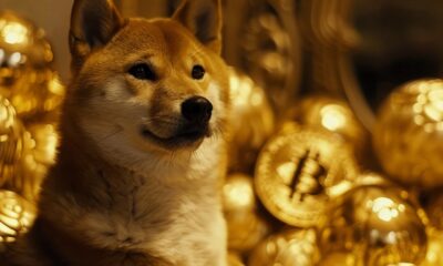 Shiba Inu coin meme token