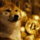 Shiba Inu coin meme token