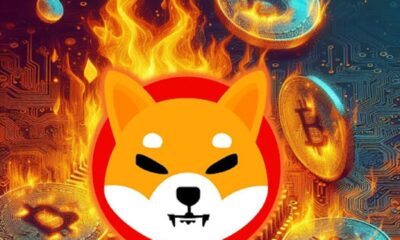 Nearly 1.7 billion SHIB coins burned in April;  Promising AI encryption aims to eclipse rendering