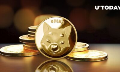 Shiba Inu Gets Elite Status in Market Ranking Among Meme Coins