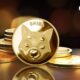 Shiba Inu Gets Elite Status in Market Ranking Among Meme Coins