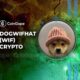 Solana Meme Coin Dogwifhat (WIF) Hits $41 on Bybit After Spot Listing