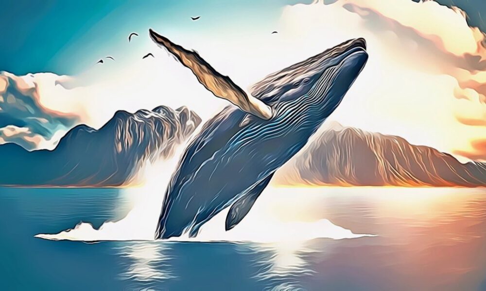 Solana Memecoin $CAT Soars 800% Amid Whale Activity