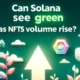 Solana NFT Volumes Surge: Impact on SOL Market Performance