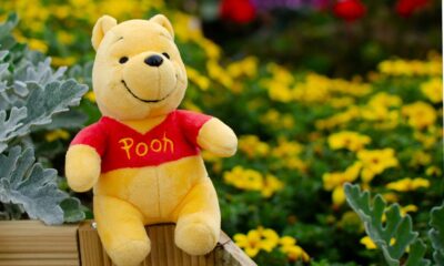 The Winnie the Pooh-themed coin soars 46% as Memecoins continue to soar despite the downtrend seen in larger cryptocurrencies like Bitcoin, Ethereum and Dogecoin.