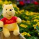 The Winnie the Pooh-themed coin soars 46% as Memecoins continue to soar despite the downtrend seen in larger cryptocurrencies like Bitcoin, Ethereum and Dogecoin.