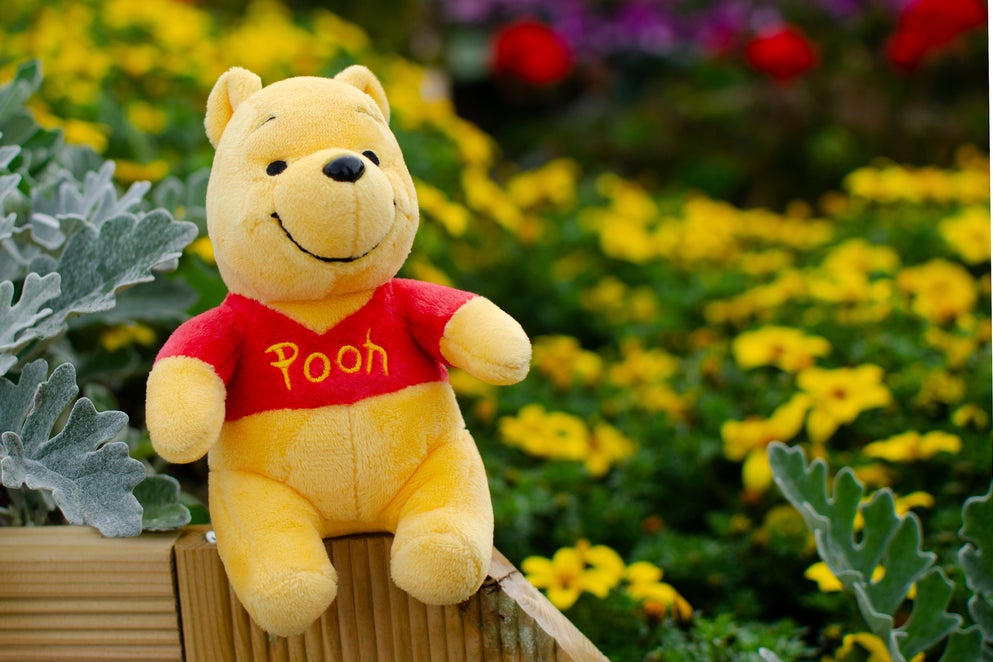 The Winnie the Pooh-themed coin soars 46% as Memecoins continue to soar despite the downtrend seen in larger cryptocurrencies like Bitcoin, Ethereum and Dogecoin.