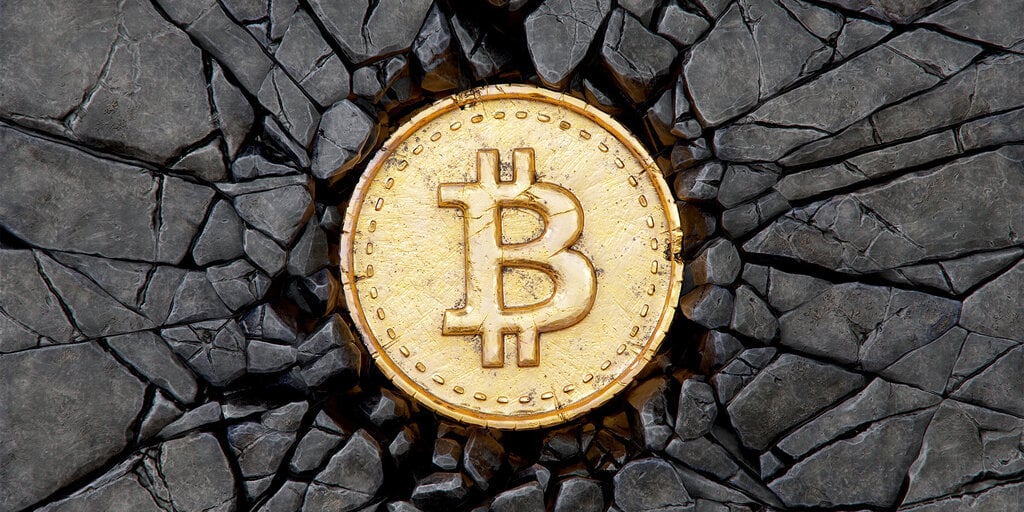 This Week in Coins: Bitcoin Beaten But Rebounds as Meme Coin Mania Persists