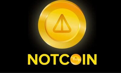 Top 5 most promising meme coins of 2024 alongside Notcoin