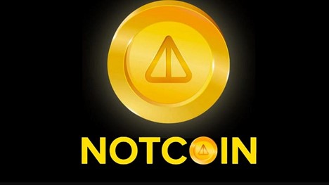 Top 5 most promising meme coins of 2024 alongside Notcoin