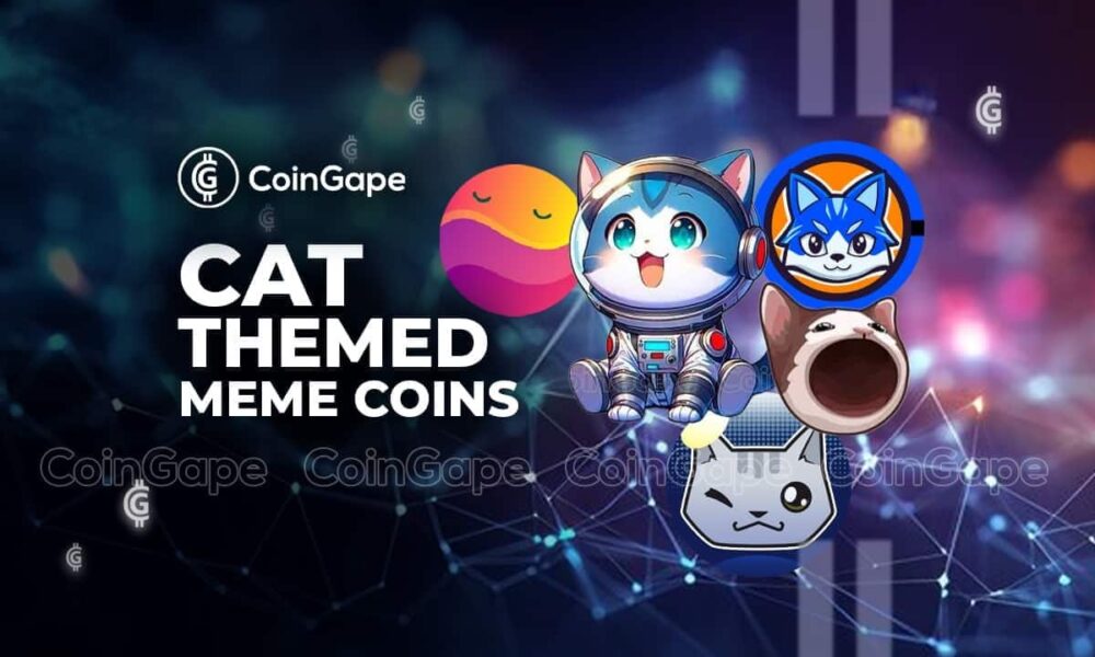 What happened to the momentum of cat-themed Memecoins?