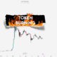 What is token burn in cryptocurrencies?  for KUCOIN:SHIBUSDT by Crypto4light — TradingView