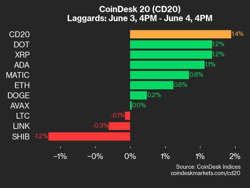 CoinDesk 20 latecomers (CoinDesk)