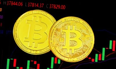 Bitcoin hits new highs since halving, ORDI, DOG and other BTC rallies Memecoins