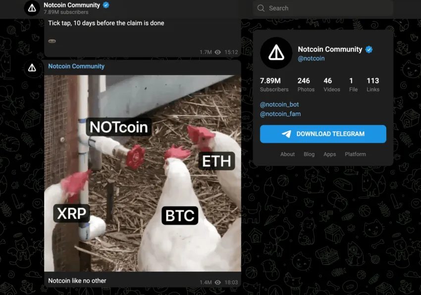Notcoin guide and Telegram community: Telegram