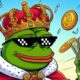 Pepe destroys Dogecoin and becomes the new king of crypto memecoins!