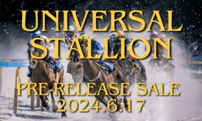 NFT-Based Blockchain Horse Racing Game "UNIVERSAL STALLION" Will Officially Launch on June 20, 2024