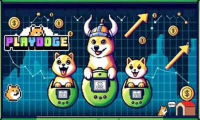 PlayDoge Meme Coin Presale Nears $4 Million – The Next Project That Will Skyrocket in the Coming Months?