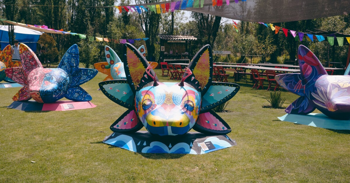 This Arizona artist is selling NFTs to help save endangered axolotls in Mexico