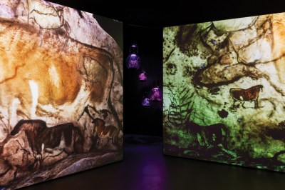 Two screens showing cave paintings flank suspended terrariums.