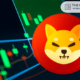 Shiba Inu Eyes Recovery, Analyst Eyes Rise to $0.0001