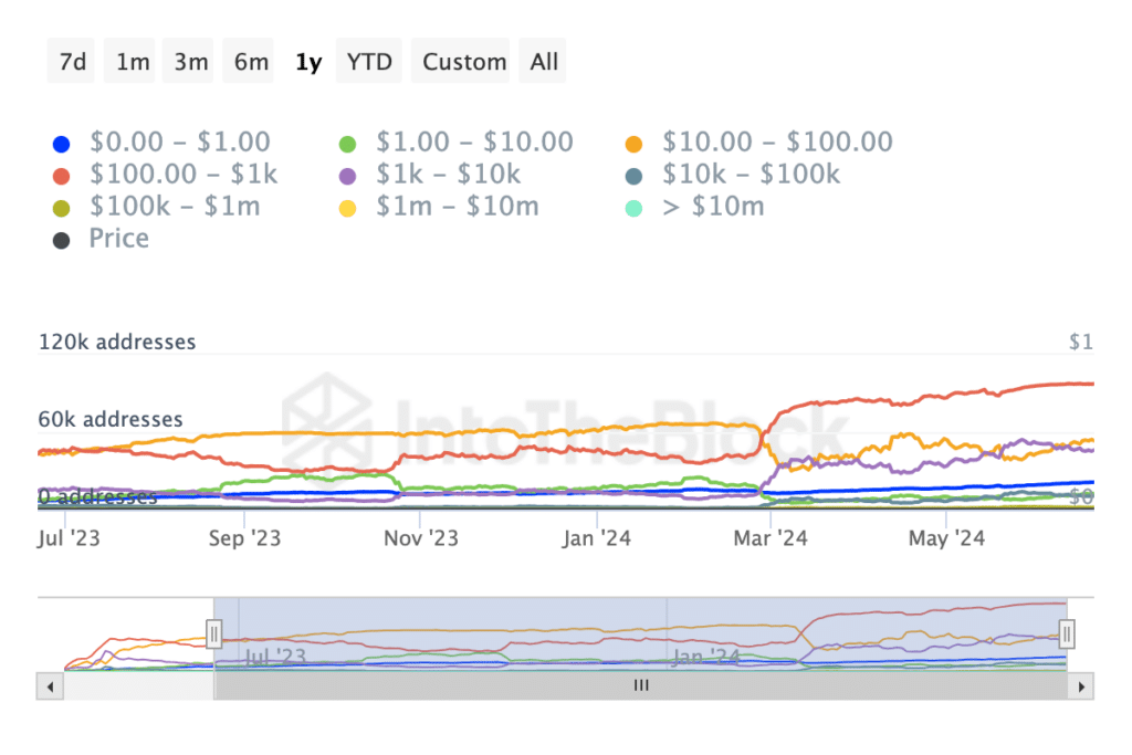 PEPE addresses by.  assets