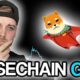 First Multi-Chain Meme Coin On Base Chain, Secures $2.2 Million In Presale