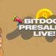 BitDoge Memecoin Launches Presale on Bitcoin Network