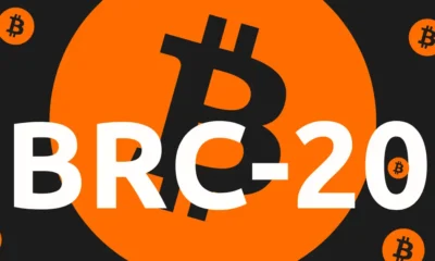 Bitcoin Ordinals (BRC-20) Tokens Rise Despite Market Consolidation!  What's next?