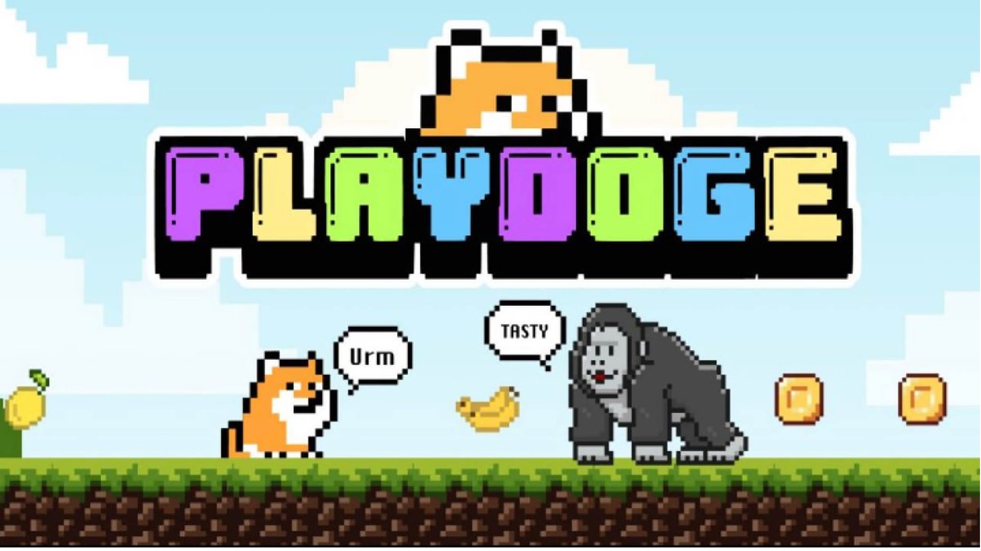 PlayDoge