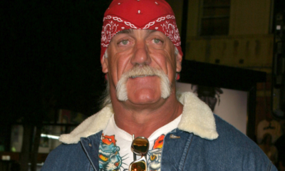 Did Hulk Hogan Really Pump and Dump a Solana Meme Room?